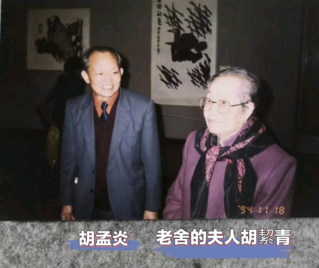 原中国美术馆收藏部主任，著名画家胡孟炎老师画作，与您共享！（图21）