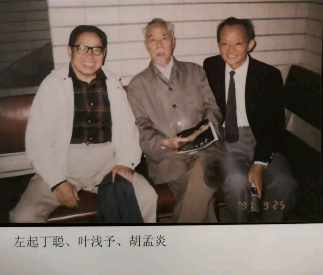 原中国美术馆收藏部主任，著名画家胡孟炎老师画作，与您共享！（图24）