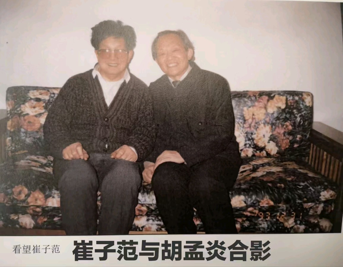 原中国美术馆收藏部主任，著名画家胡孟炎老师画作，与您共享！（图29）
