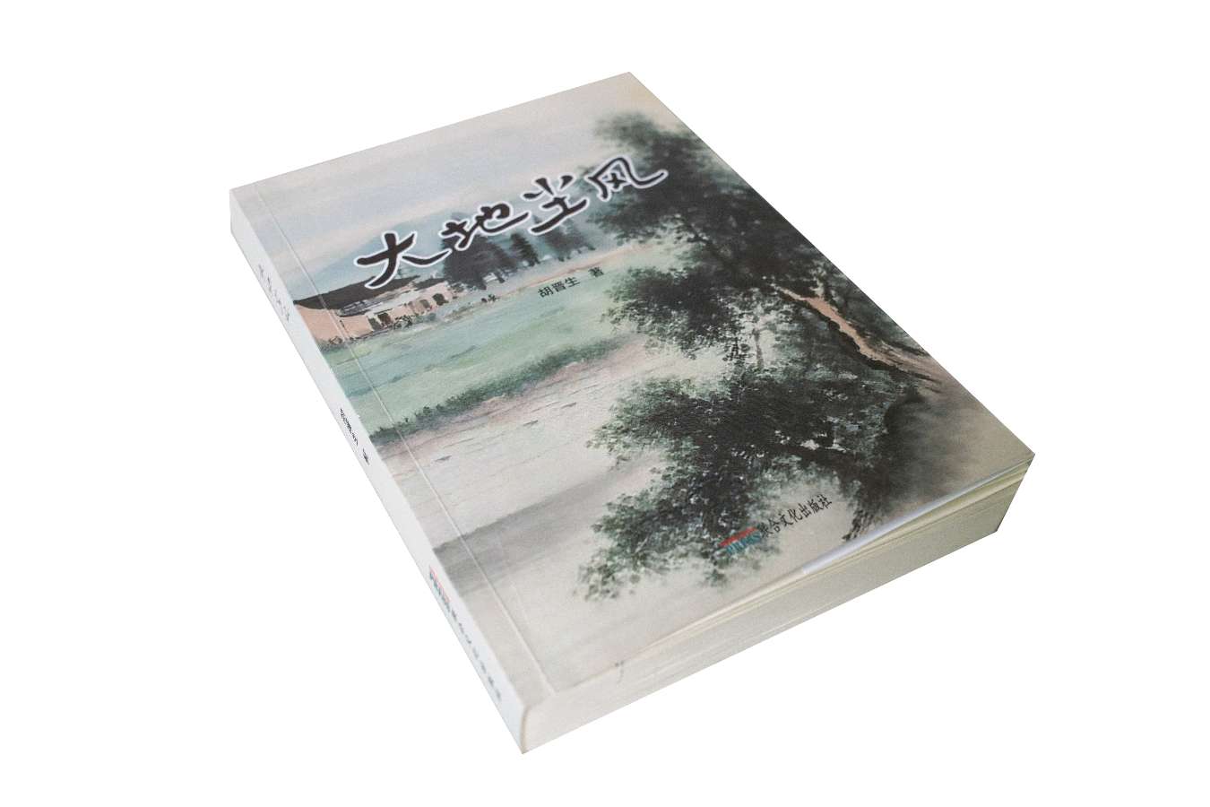 写实存真的小说（图2）