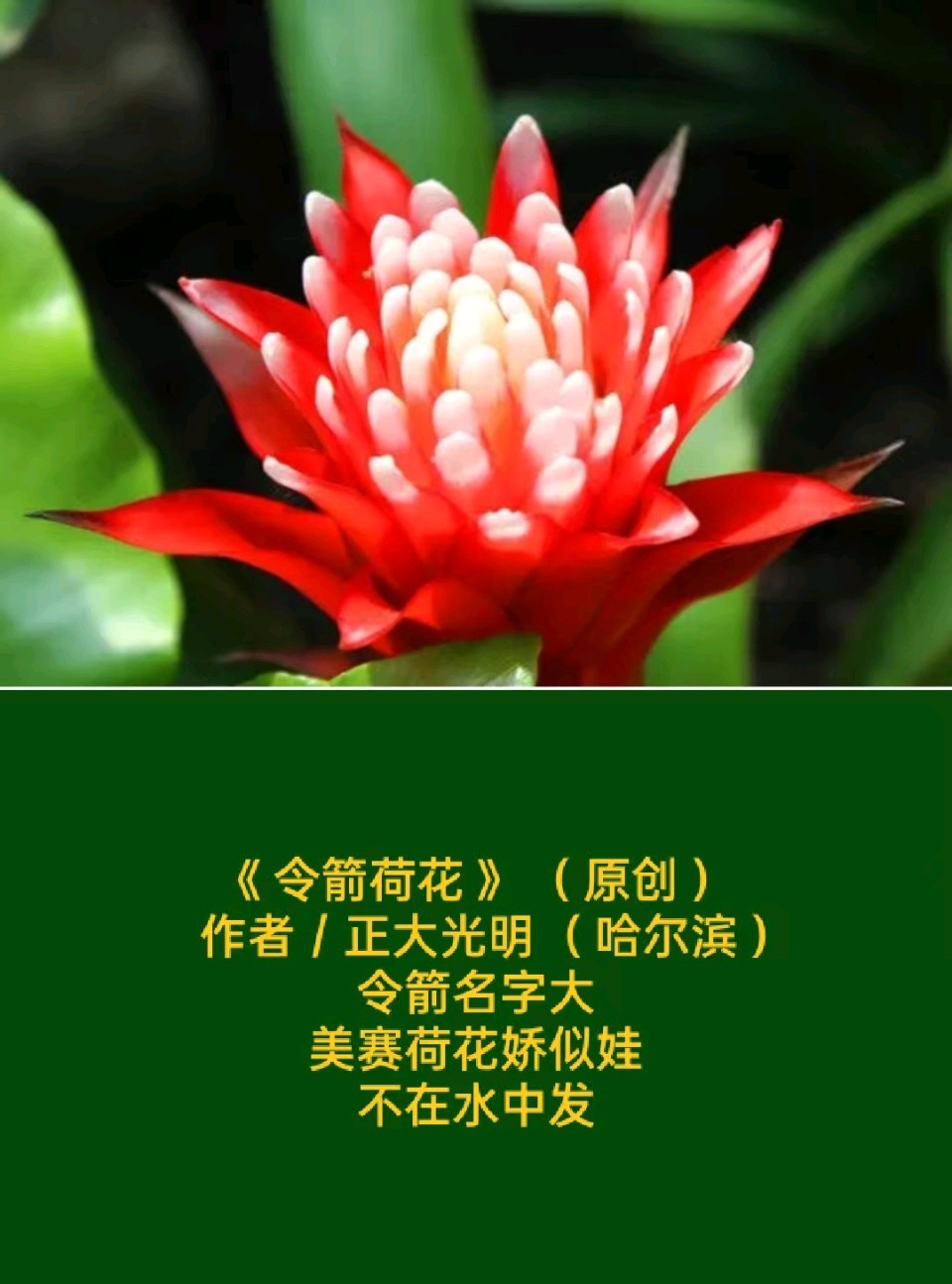 （原创）题图微诗三首/文/正大光明（哈尔滨）（图5）