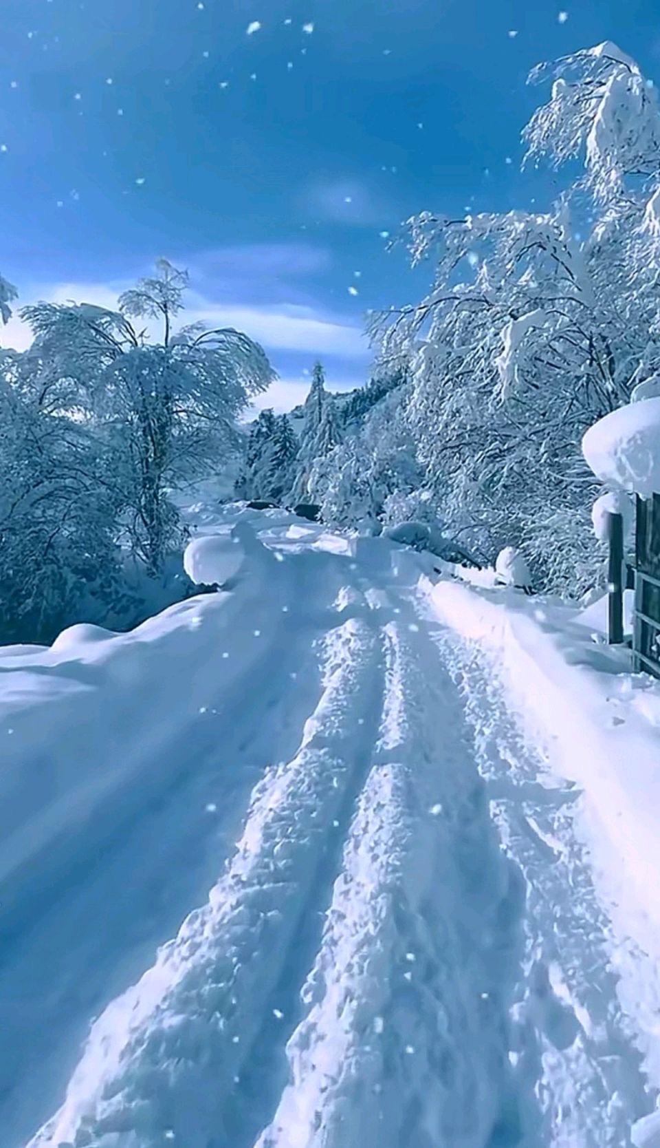 海外头条：散文诗《咏雪》作者||米义勇（签约作家）（图6）
