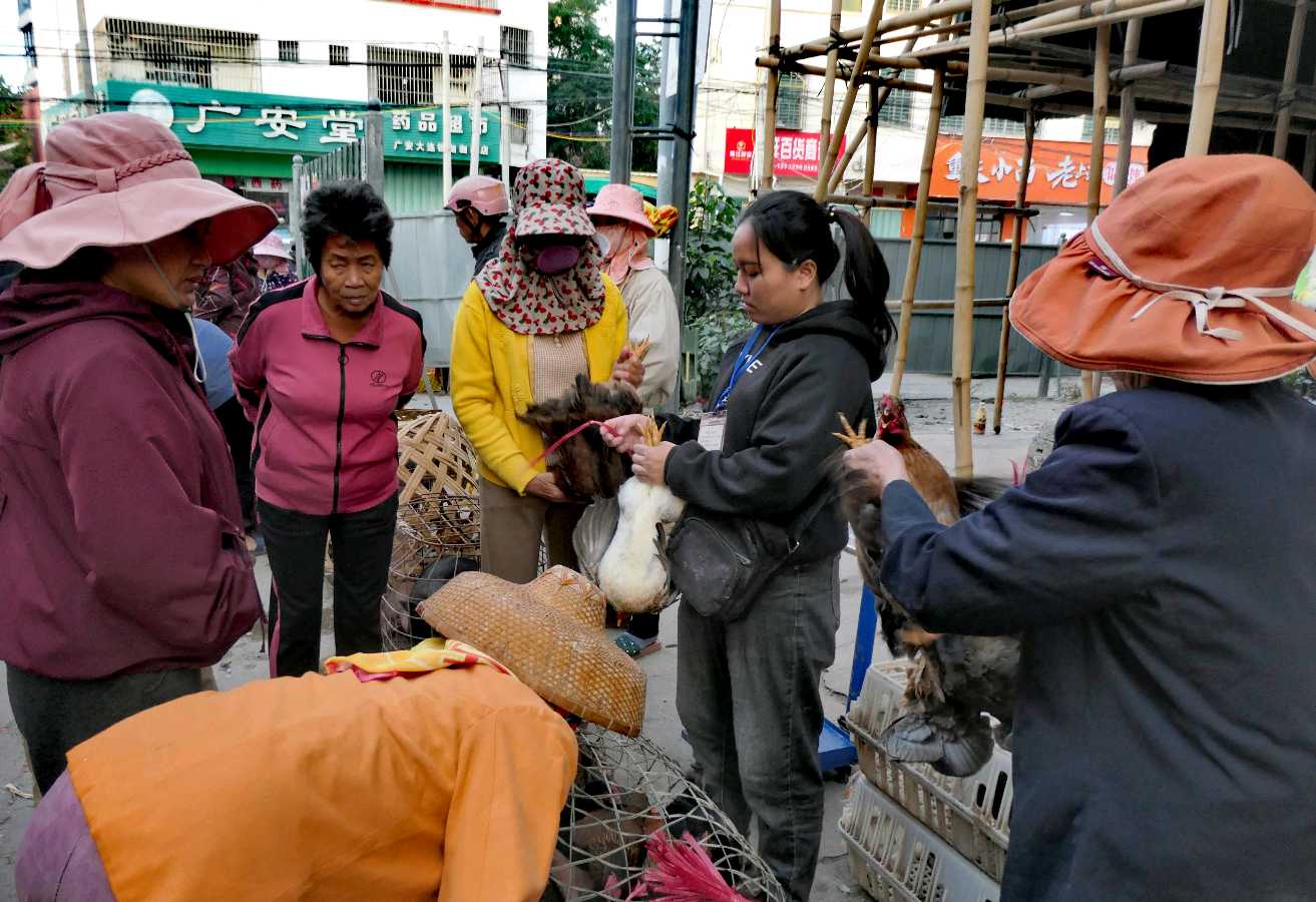 一手鸡一手鸭（图6）