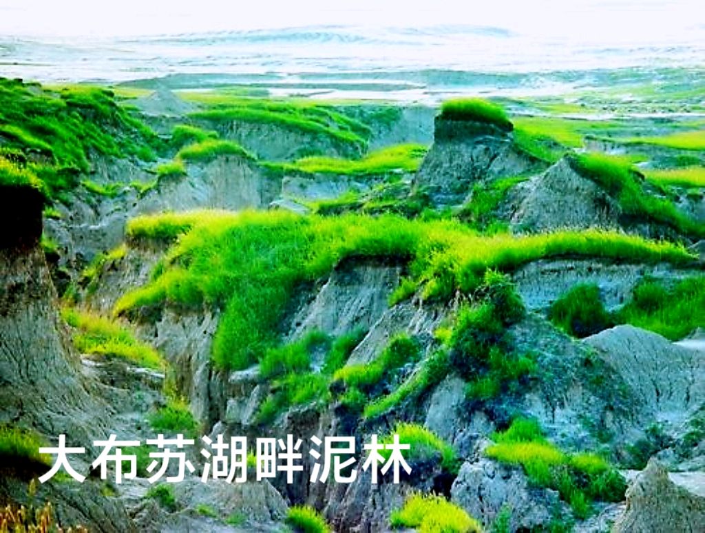 大布苏湖和湖畔泥林～李耀文（辽宁）（图15）