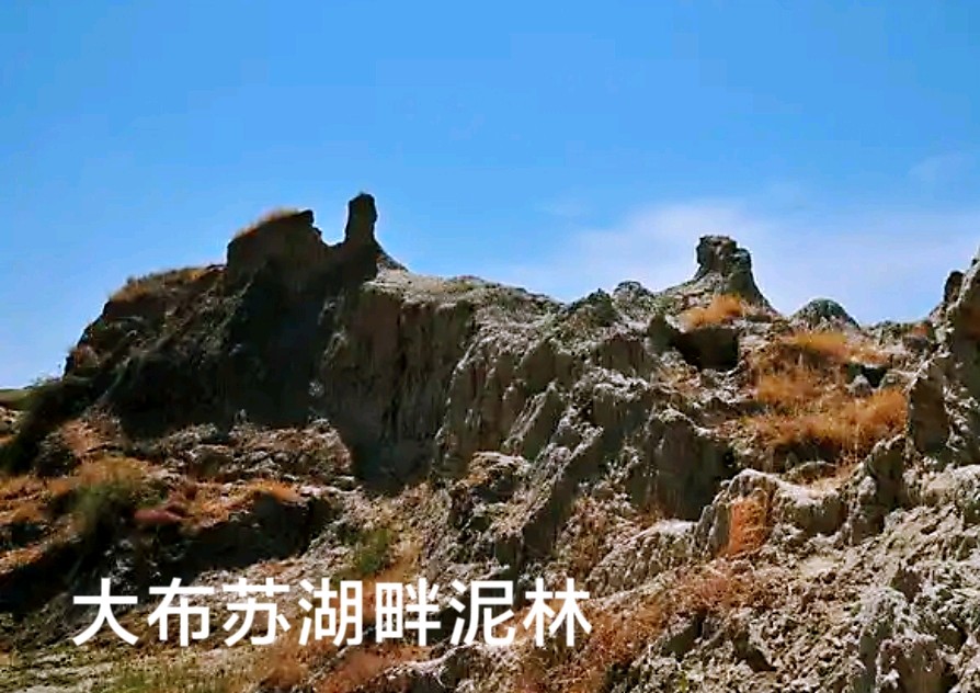 大布苏湖和湖畔泥林～李耀文（辽宁）（图22）