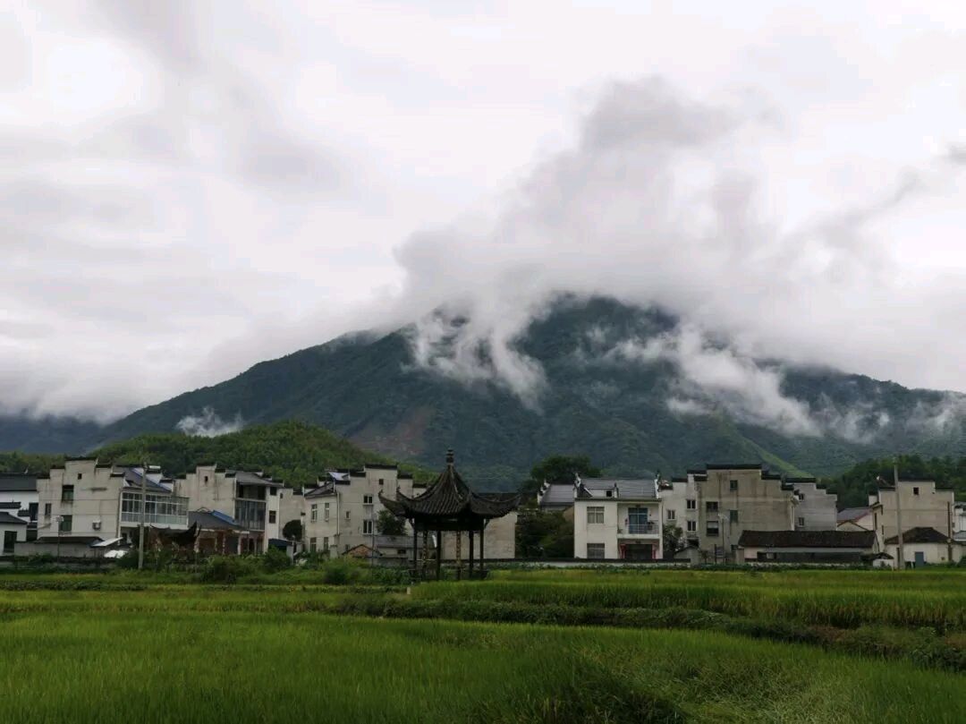 【莲子诗语】||梁雨情：故乡情怀（外一首）——北京头条（图2）