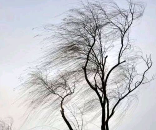《中华好诗词》分享优秀诗人罗崇亮老师《寒风》外两首请欣赏（图4）
