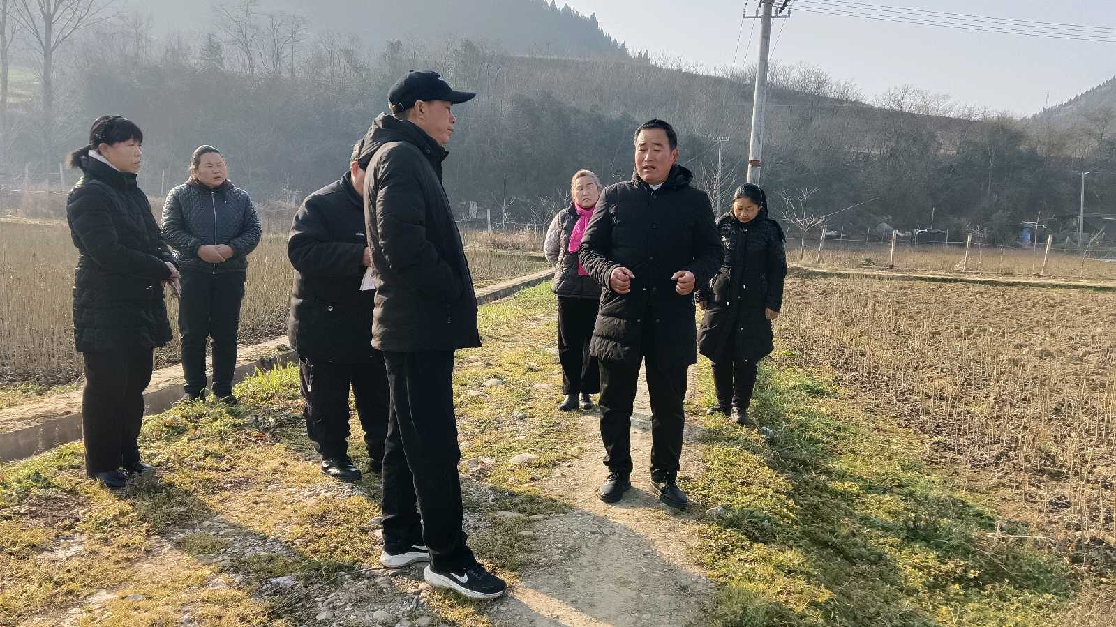 倾听农户心声 助力产业纾困（图3）