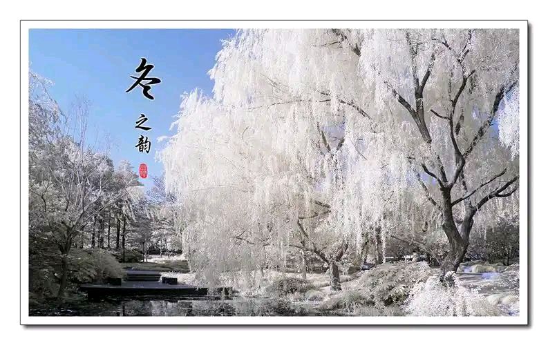 黄河岸边的晚霞恋（图3）