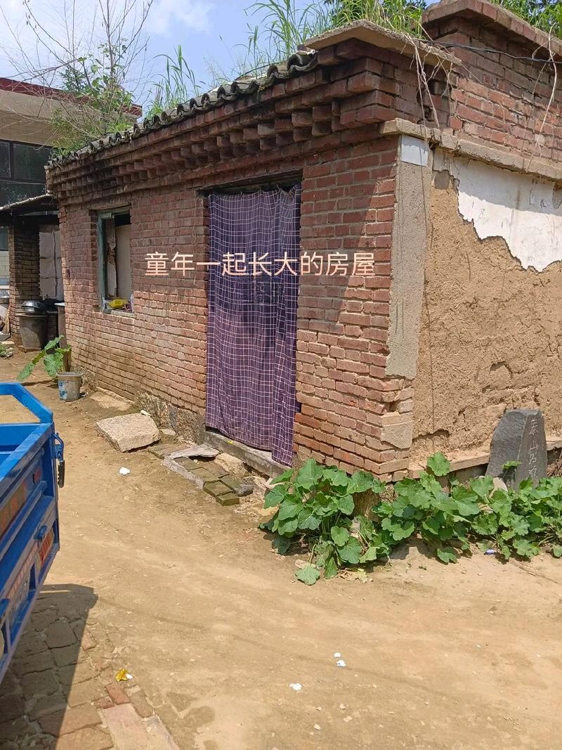 偏水屋与火味童年~胡采云(湖北)(图9)