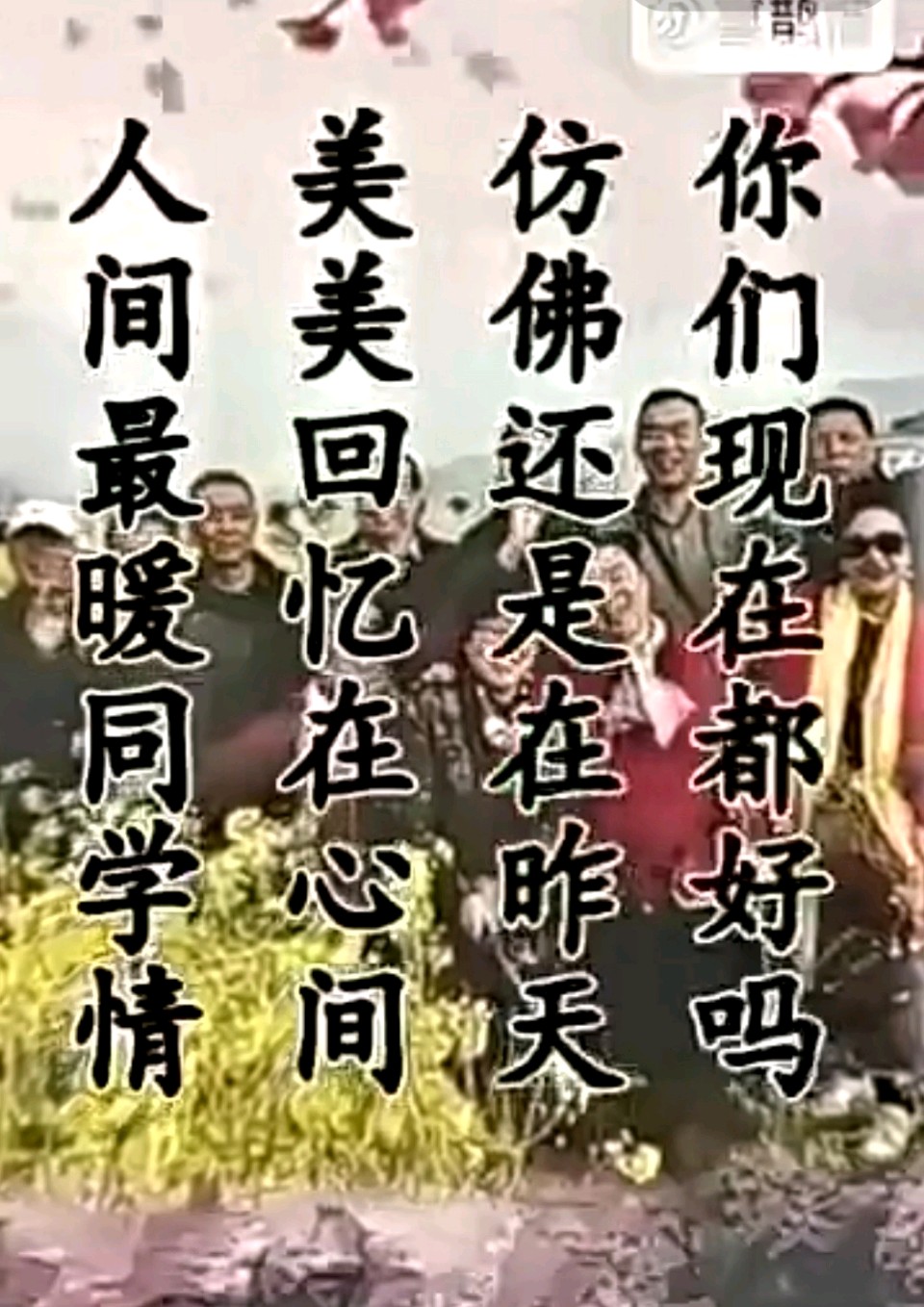 旭日东升（汇编）//送給我最想念的老同学（图6）