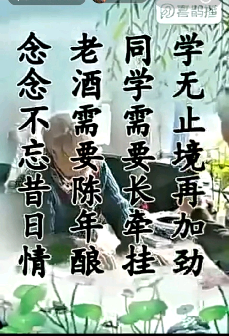 旭日东升（汇编）//送給我最想念的老同学（图7）