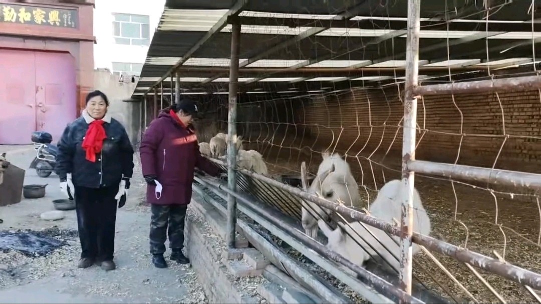 志愿走访听民声 政策赋能助农兴（图2）