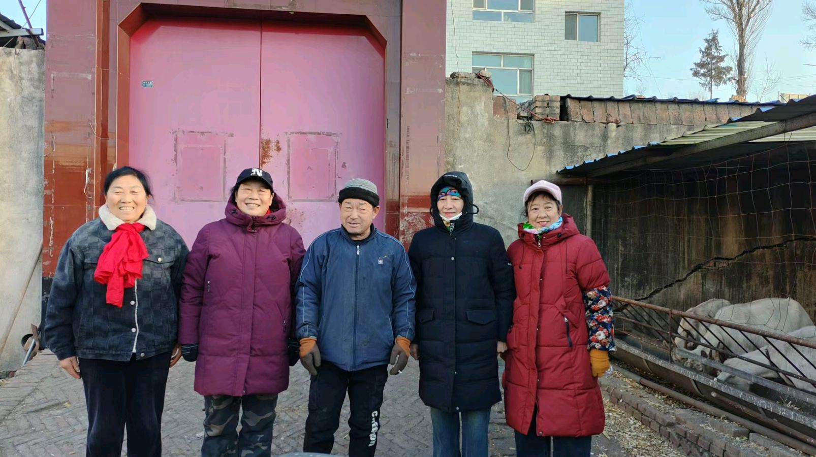 志愿走访听民声 政策赋能助农兴（图3）