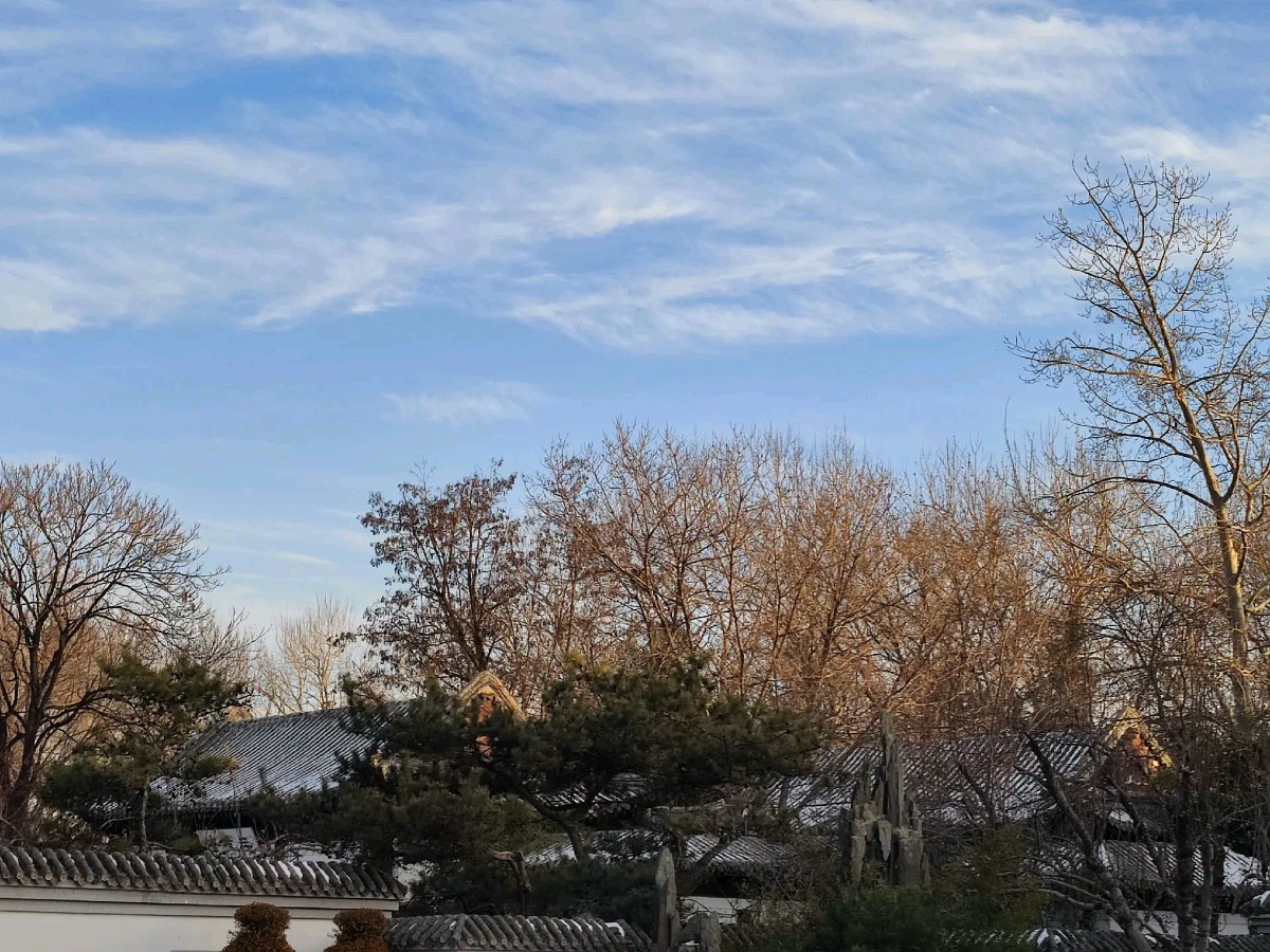 量子诗歌·文同文化社“名篇·名家·名评”系列之呆呆老师的四首现代诗《如水》、《重》、《时间的尽头》、《夏萤》（图23）