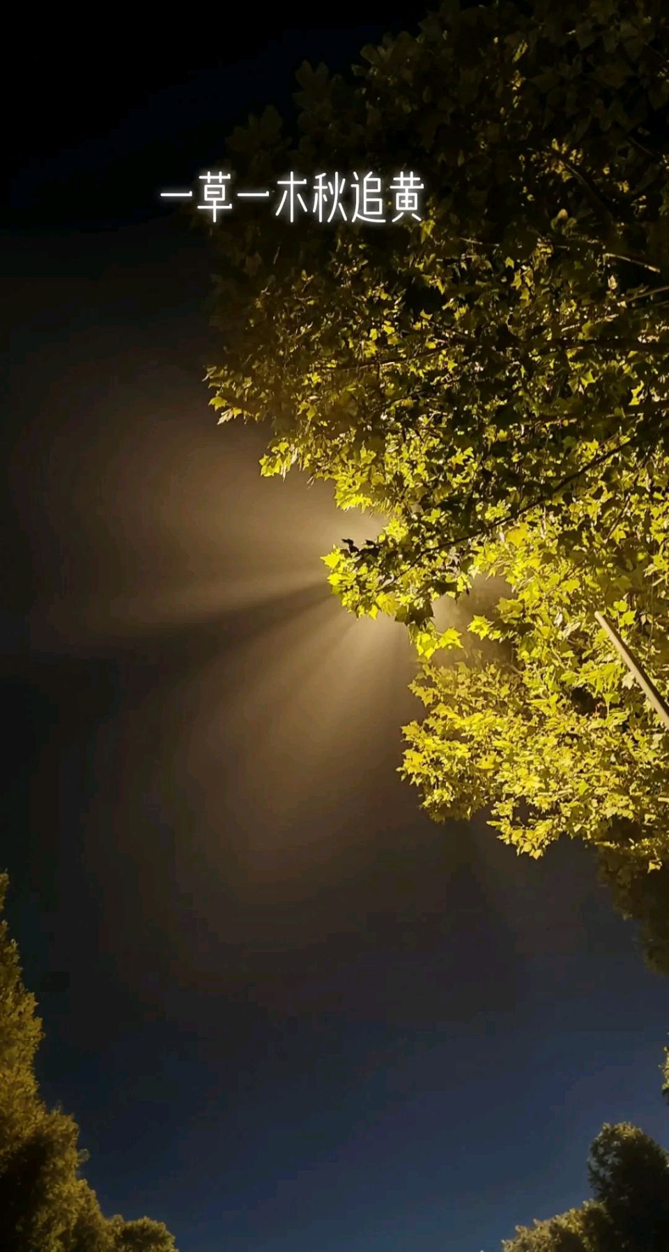 量子诗歌·文同文化社“名篇·名家·名评”系列之呆呆老师的四首现代诗《如水》、《重》、《时间的尽头》、《夏萤》（图27）