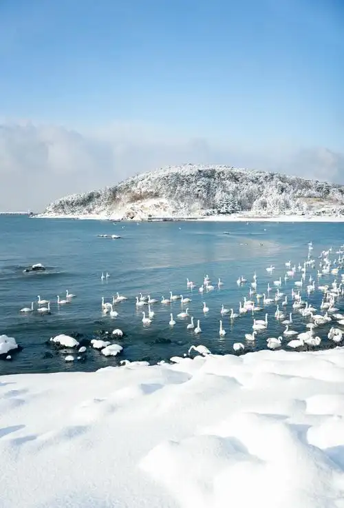 自由体《雪寄威海》外一首/文/郑金波（图3）