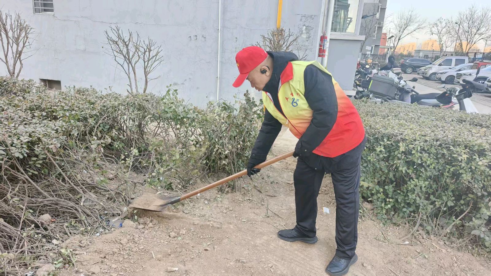 晨光映志愿 清洁焕新颜（图4）