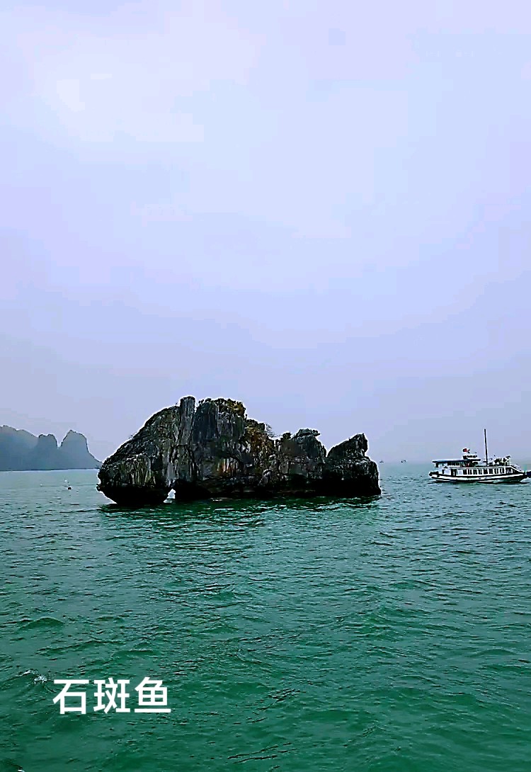 游越南名胜“下龙湾”～李耀文（辽宁）（图36）