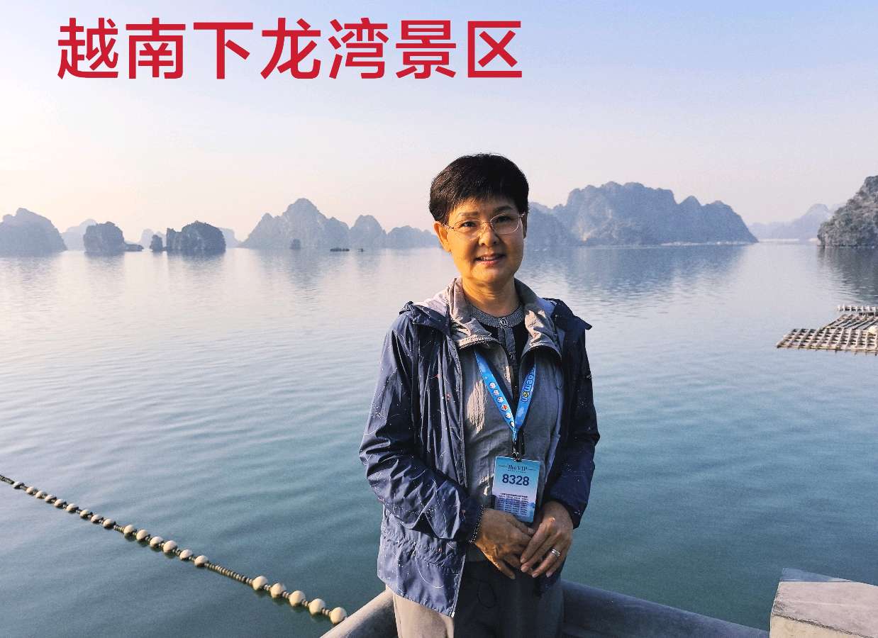 游越南名胜“下龙湾”～李耀文（辽宁）（图15）