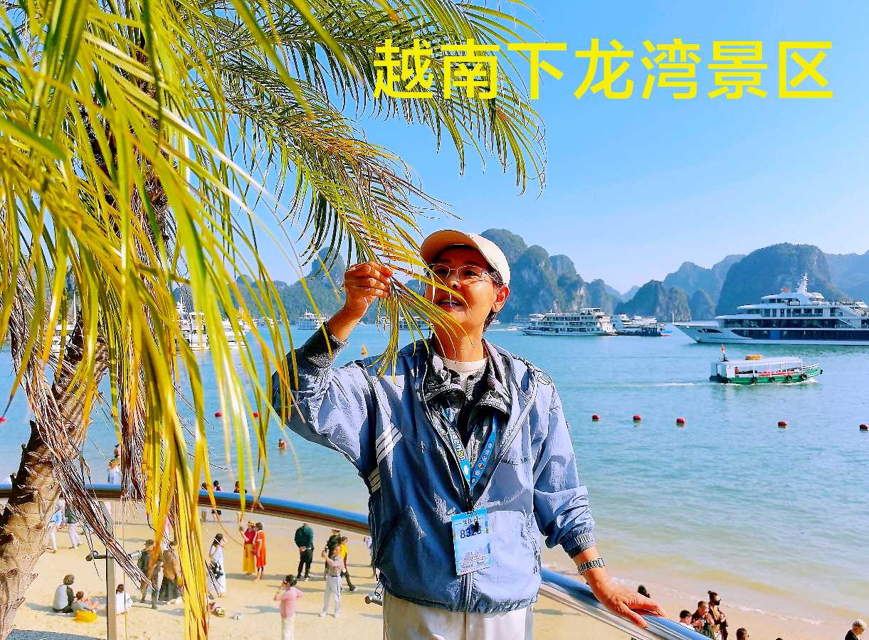 游越南名胜“下龙湾”～李耀文（辽宁）（图19）