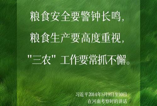 【散文】《十五五开好局起好步 奋发进取绘就乡村振兴新图景》作者: 强军/陕西宝鸡（图4）