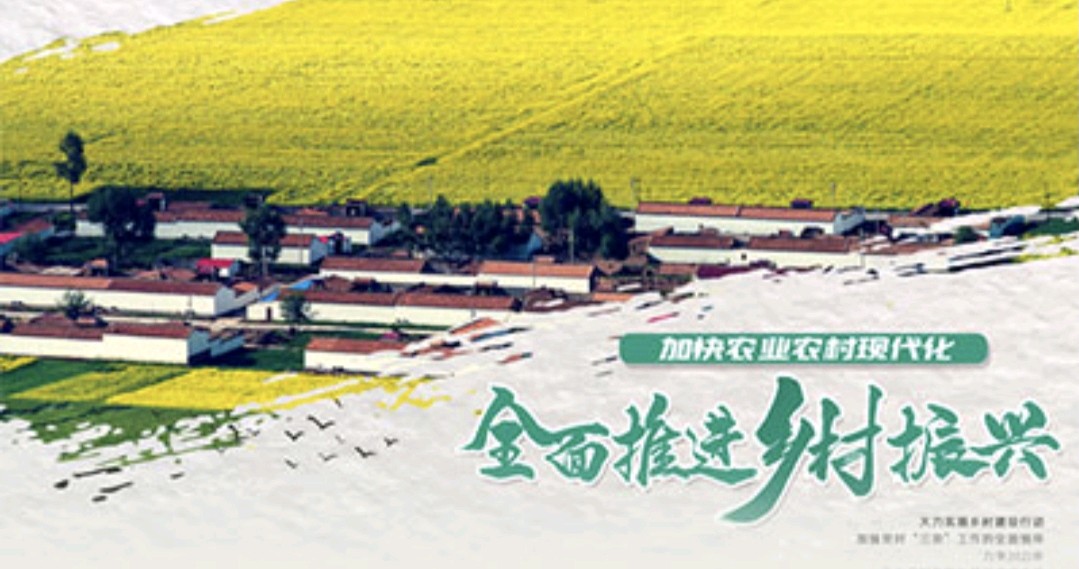 【散文】《十五五开好局起好步 奋发进取绘就乡村振兴新图景》作者: 强军/陕西宝鸡（图3）