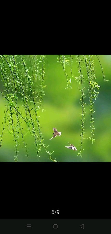 对句练习（50）‖巴彦诗词楹联协会【1121】（图6）
