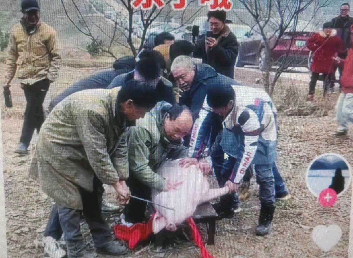 《鲁源文苑诗歌散文展播》作者/鲁源文苑诗人（图5）