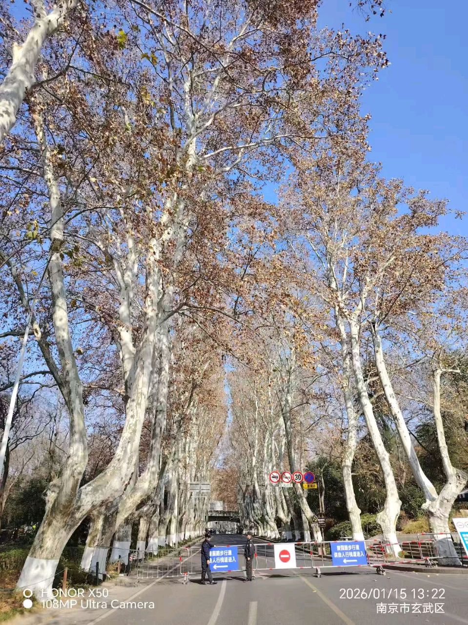 （连载之一）一生一事 一世一声 天南海北 用心抚琴 ——古琴老师紫檀假期祖国行掠影（海南行之一）（图2）