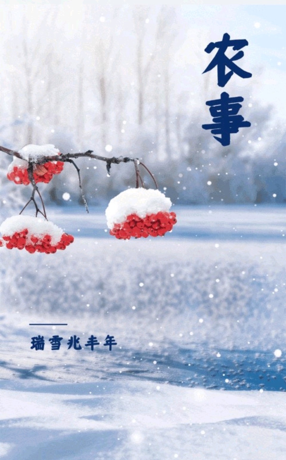 七律-开元瑞雪兆丰年～高哲林（河北）（图11）