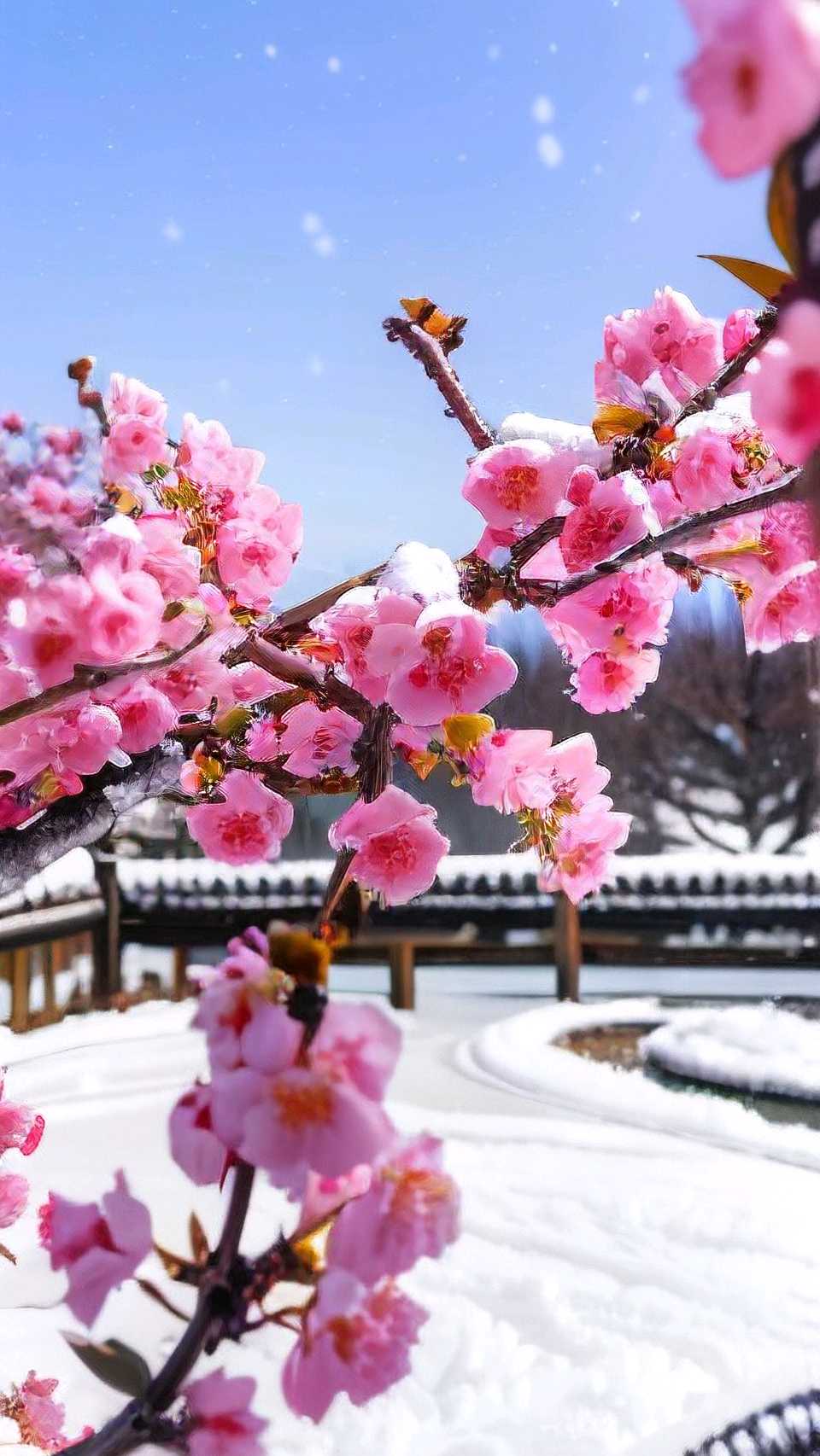 七律-开元瑞雪兆丰年～高哲林（河北）（图15）