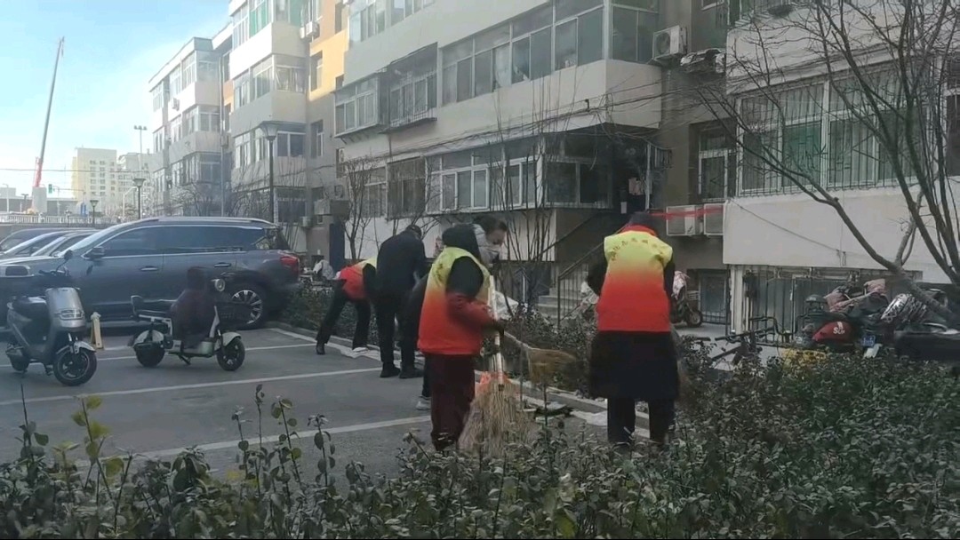 志愿服务践初心 洁净家园共建设（图3）