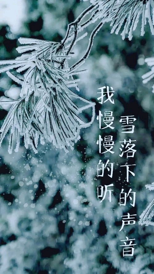 七律-潜江大寒初雪～柳洪（湖北）（图14）