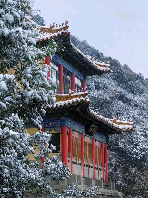 雪后千佛山❄（图5）