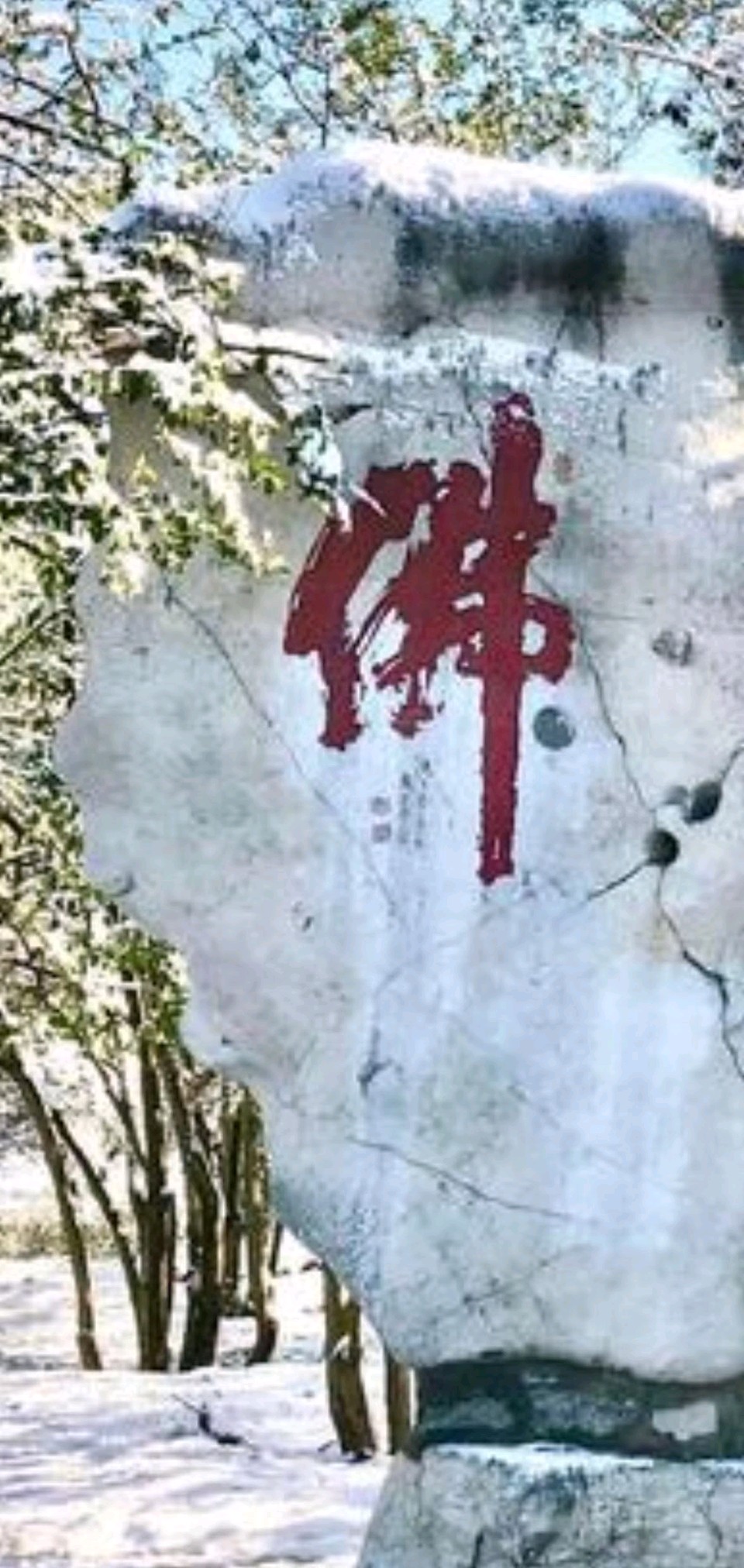 雪后千佛山❄（图4）