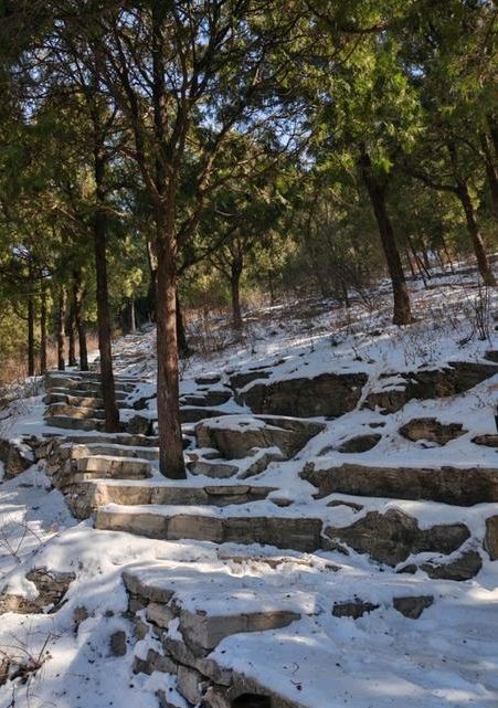 雪后千佛山❄（图9）