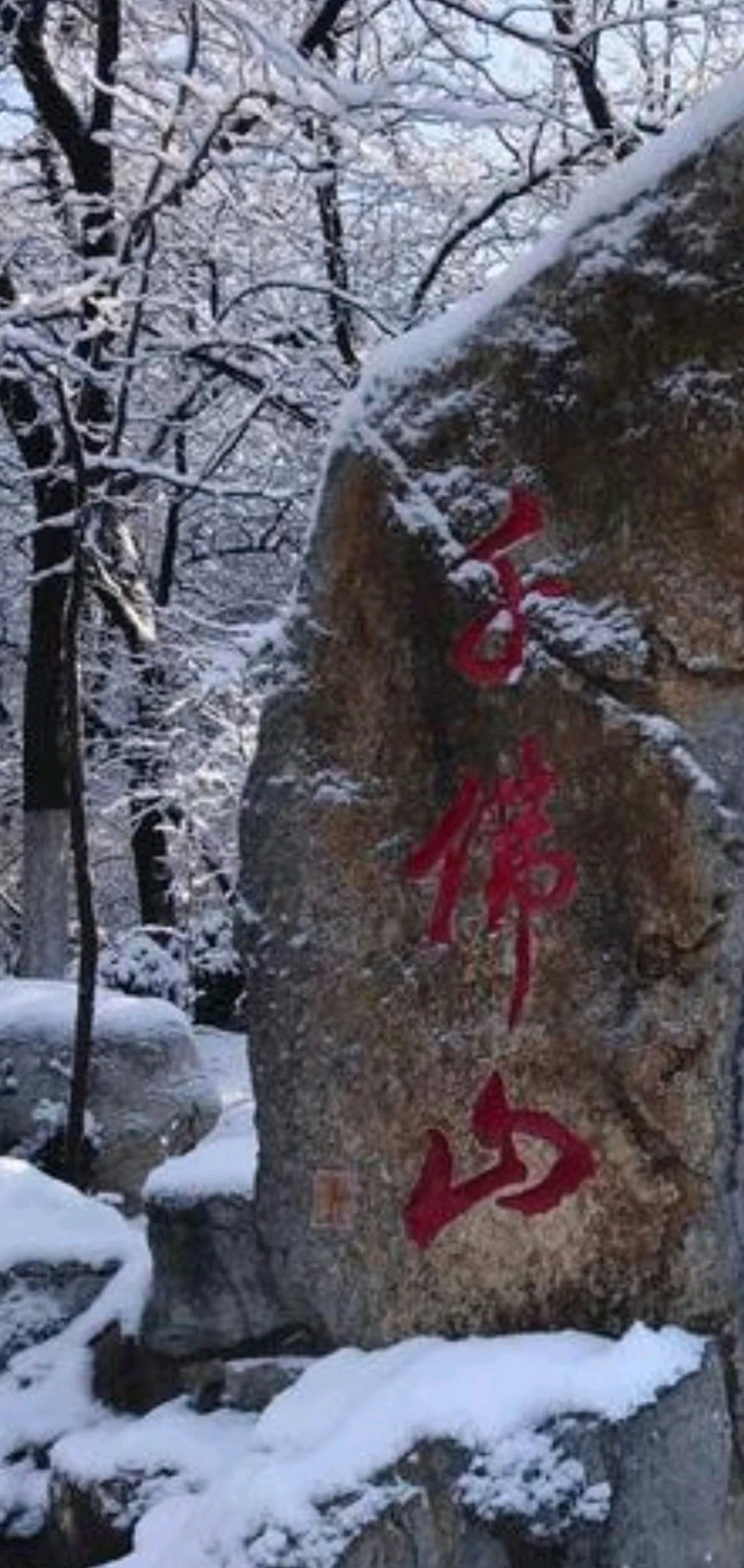 雪后千佛山❄（图7）