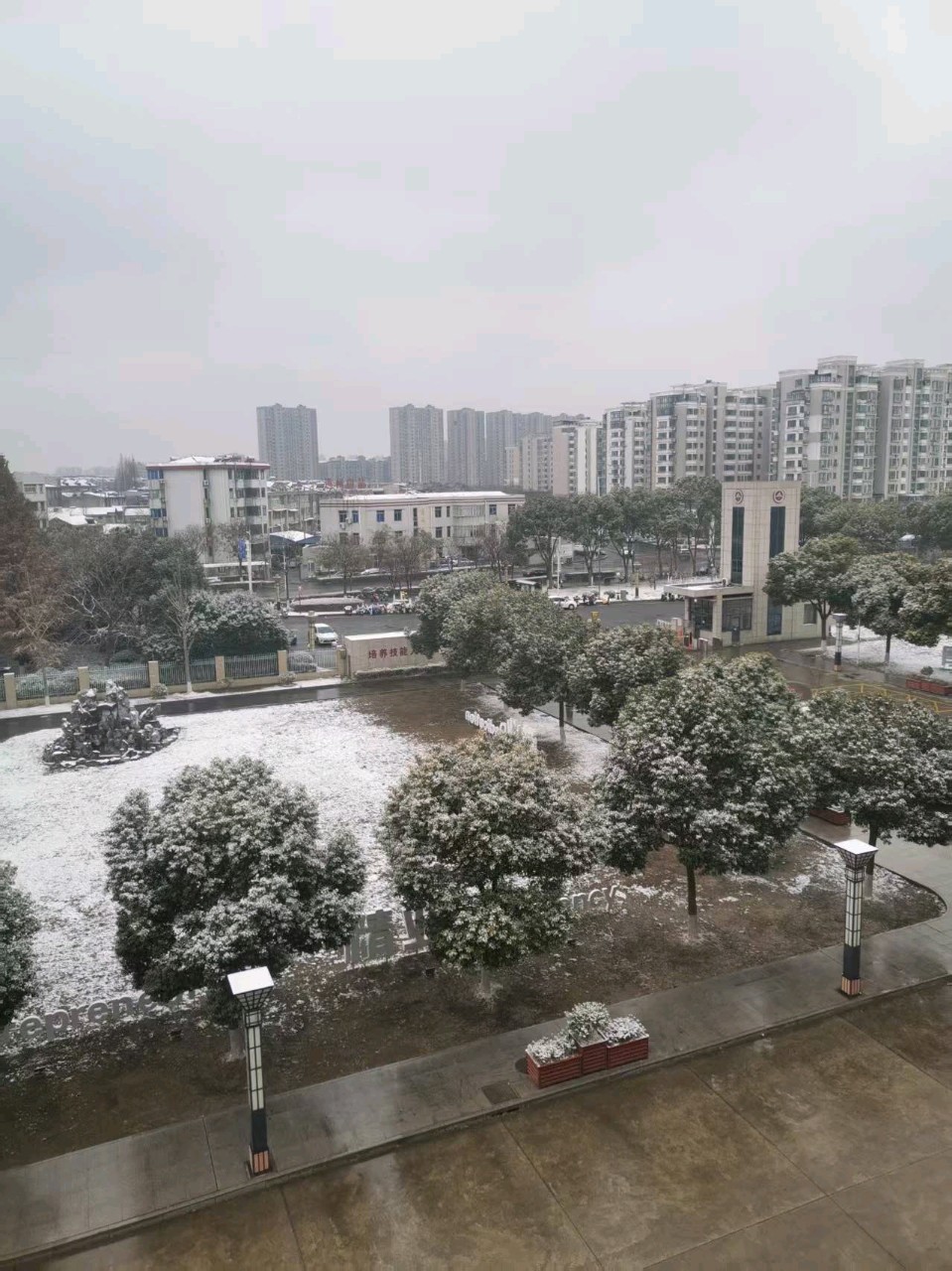 雪日行园实感（二首）/作者：丁顺前（图3）