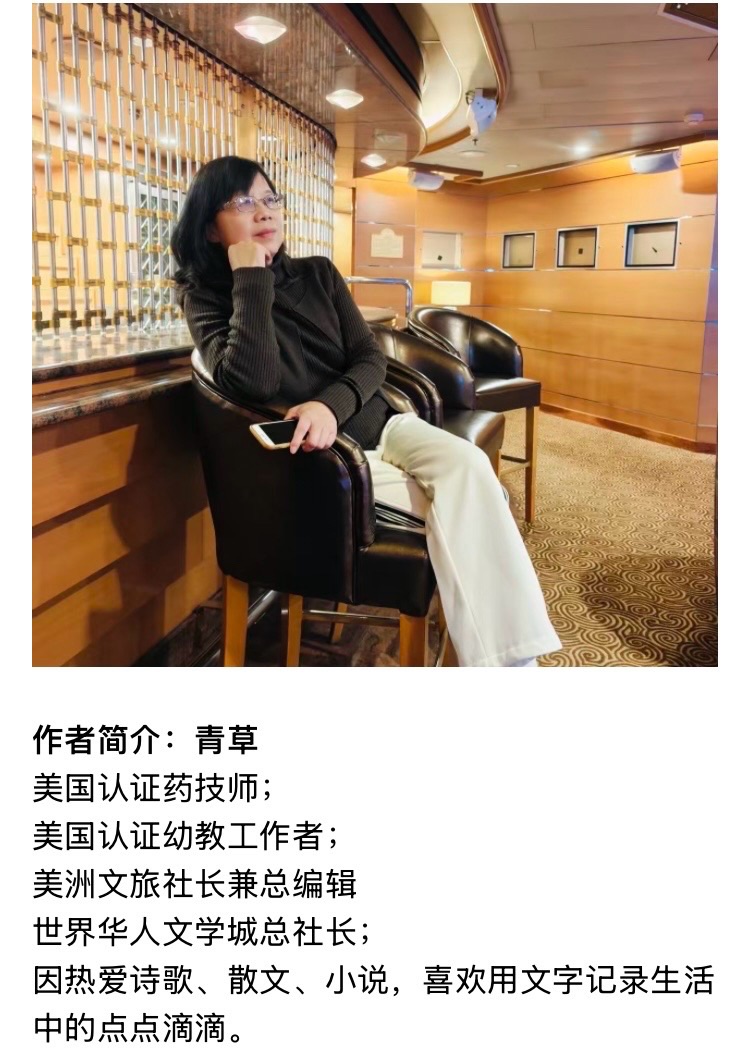 【世界华人文学城】第88期“佳作赏析”《莫名的喜悦》外一首｜作者：青草｜朗诵：满杨（图17）