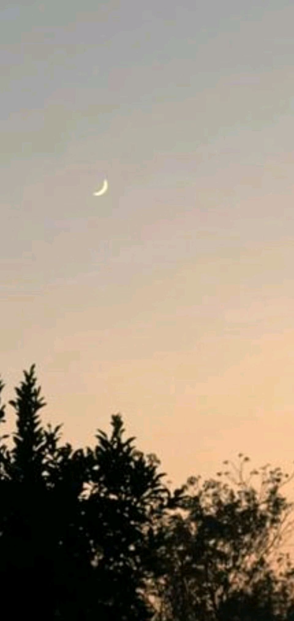 娥眉冷月光🌙（图2）