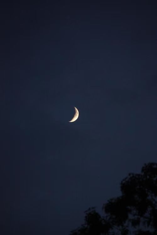 娥眉冷月光🌙（图7）