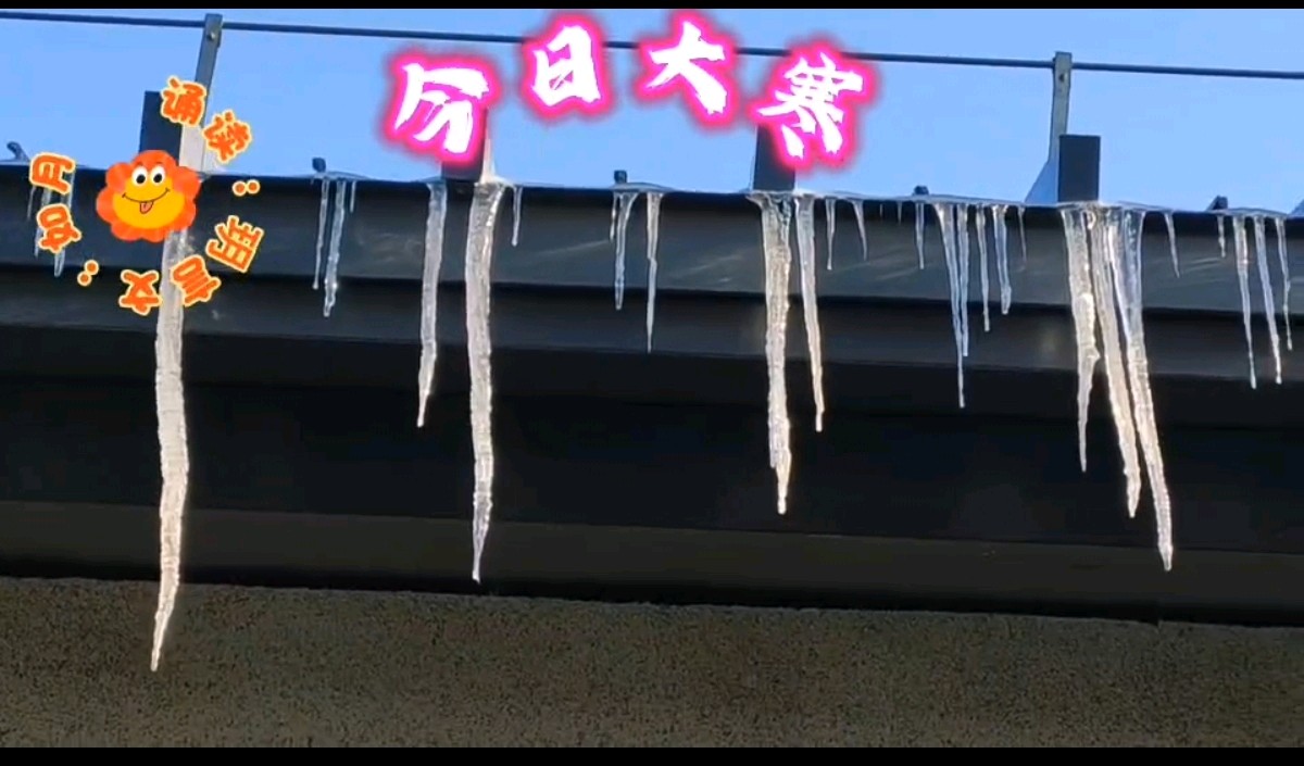 【都市头条向幸福出发编辑部】第14812期 四九初临有清欢 文 如月 主播 东霞（图2）