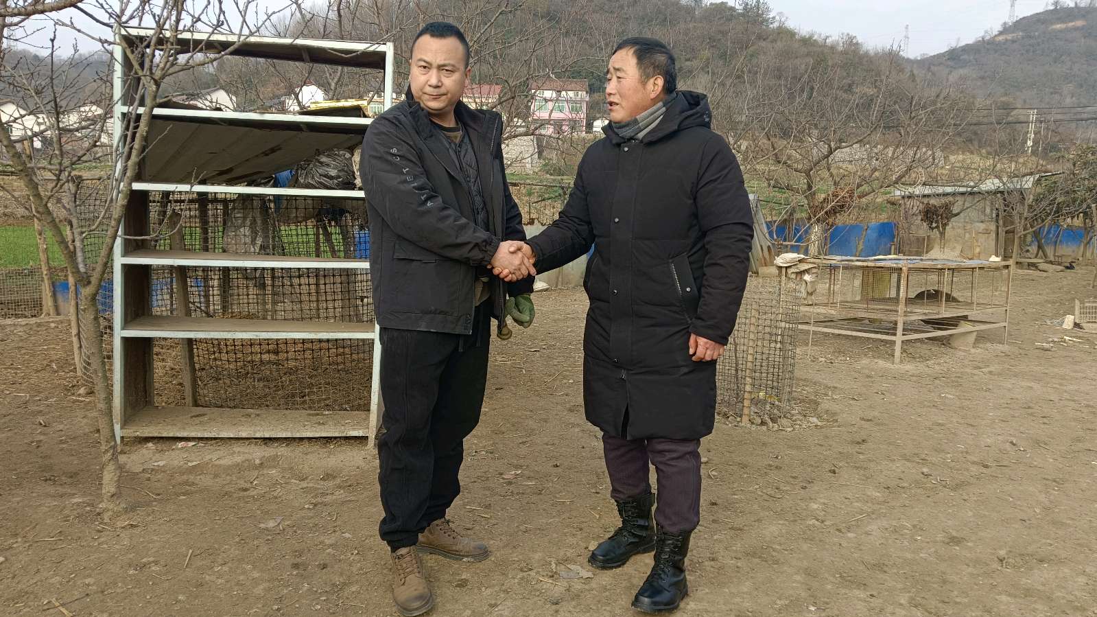 走访鸡场听心声 共话发展促振兴（图4）