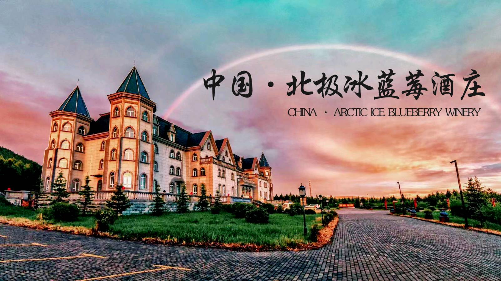 诗报告-紫色传奇～作者◑韩春华（图15）