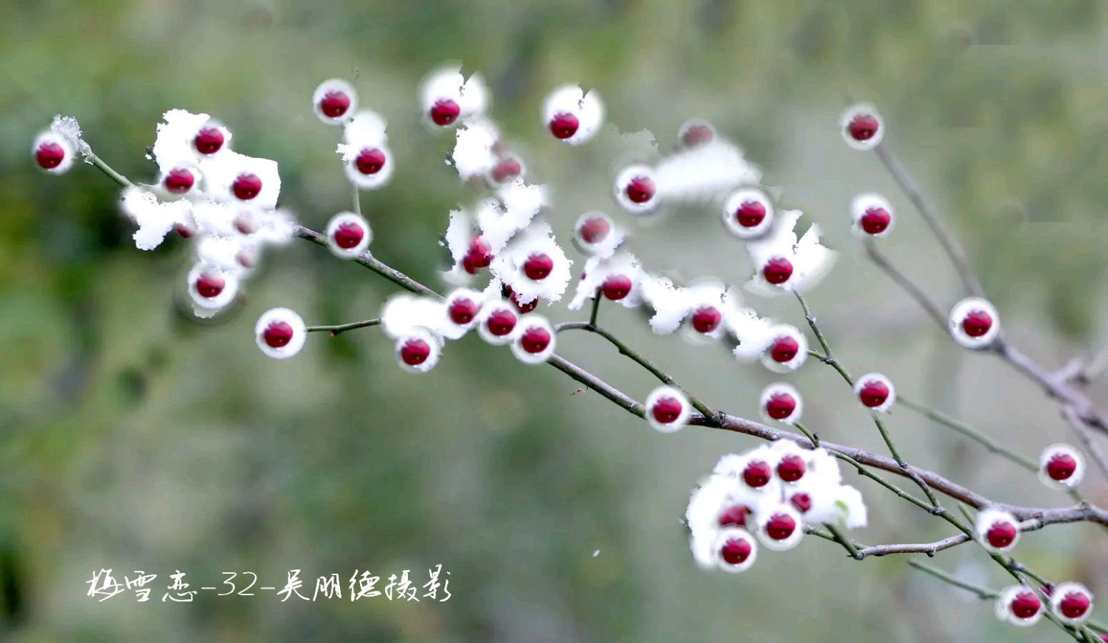 齐天大圣老师精彩诗文与君共赏（图2）