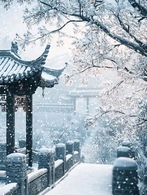 浪淘沙令·大雪時节【中华新韵（南唐）李煜体】 作者:田淑荣（图2）