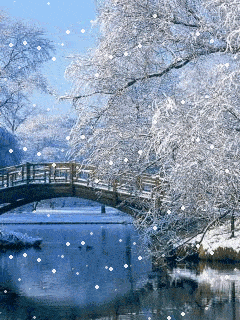 浪淘沙令·大雪時节【中华新韵（南唐）李煜体】 作者:田淑荣（图3）