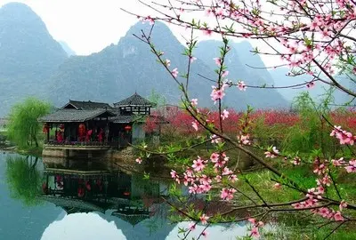 ［张有清诗词歌赋时文集（七十八）、（七十九）］……莲叶之珠文学社（图4）