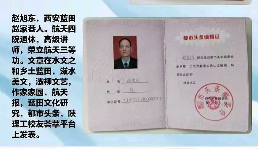 蓝弘（卫红春）//浅议迎春（图6）